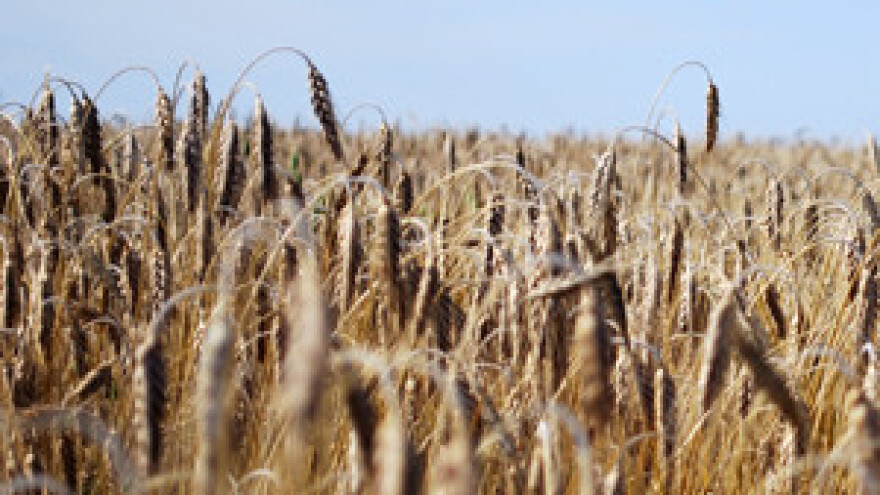 Prosvjed ratara Đakovštine