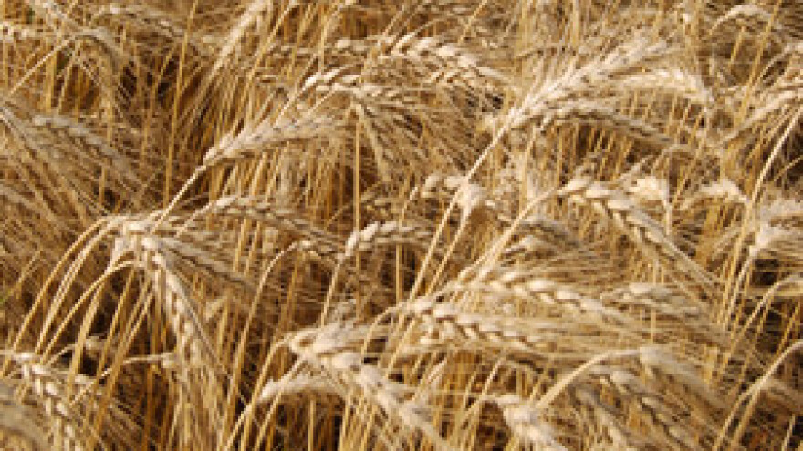 Visoke cijene hrane sve do 2015.