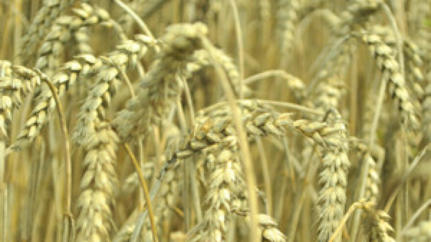 Hrvatska neće u EU 2012. - vratite nam poticaje