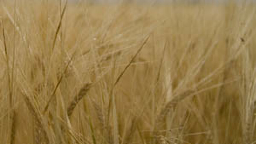 Poljoprivrednici se s prosvjeda vratili bez zemlje