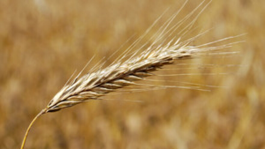 Stečaj u Đakovštini privodi se kraju