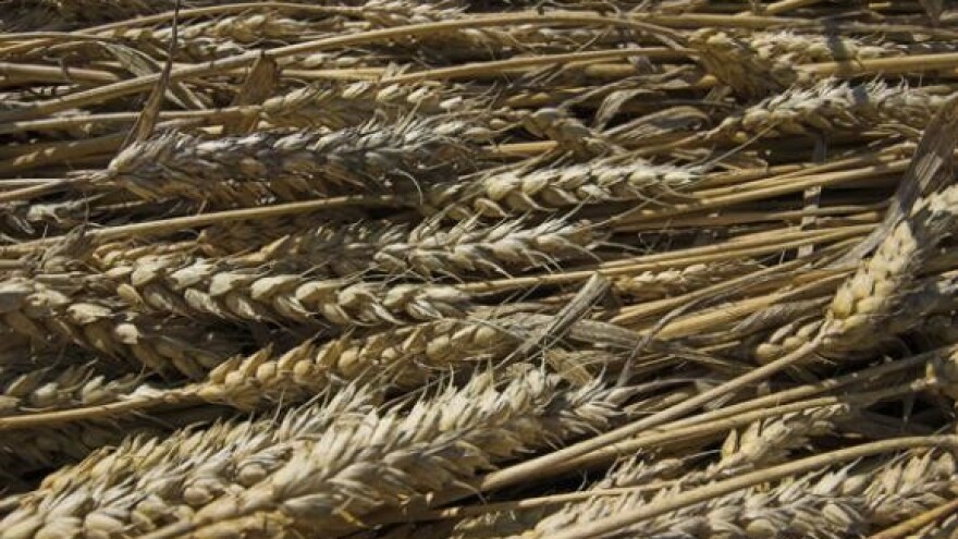 Umjesto novca gnojivo