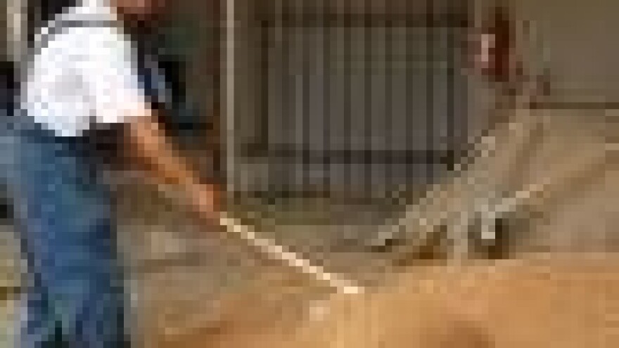 Otkup zrnja za koje se ne zna cijena