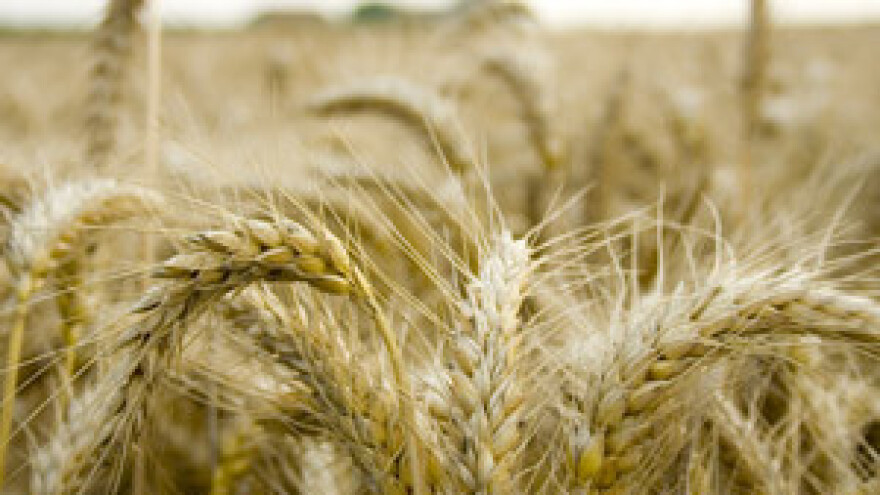 Država u poljoprivredu bacila 50 milijardi kuna