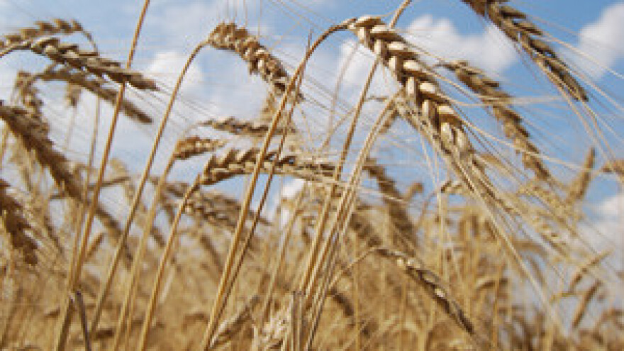 Koordinacija za spas Đakovštine