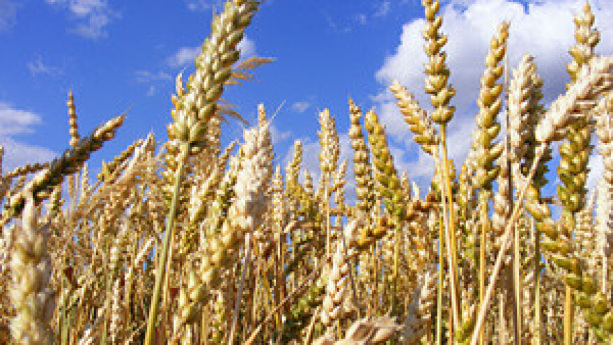 Prosvjed poljoprivrednika ostalih bez robe u Đakovštini