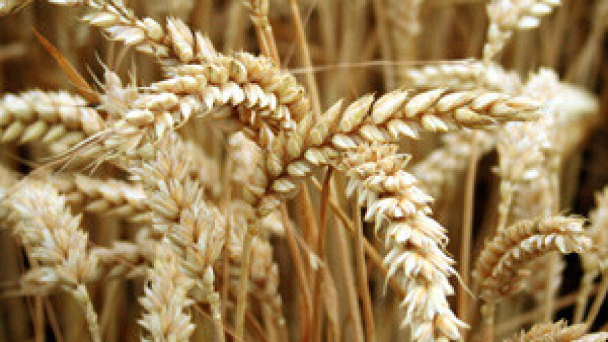 Prosvjed radnika Đakovštine