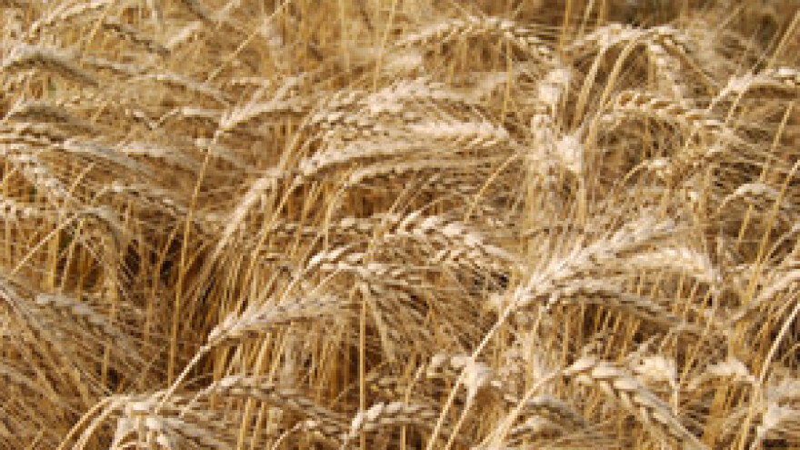 Bivšim radnicima u prosvjedu će se pridružiti i poljoprivrednici?