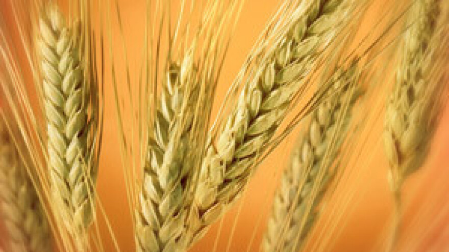 Mineralno gnojivo umjesto dijela poticaja