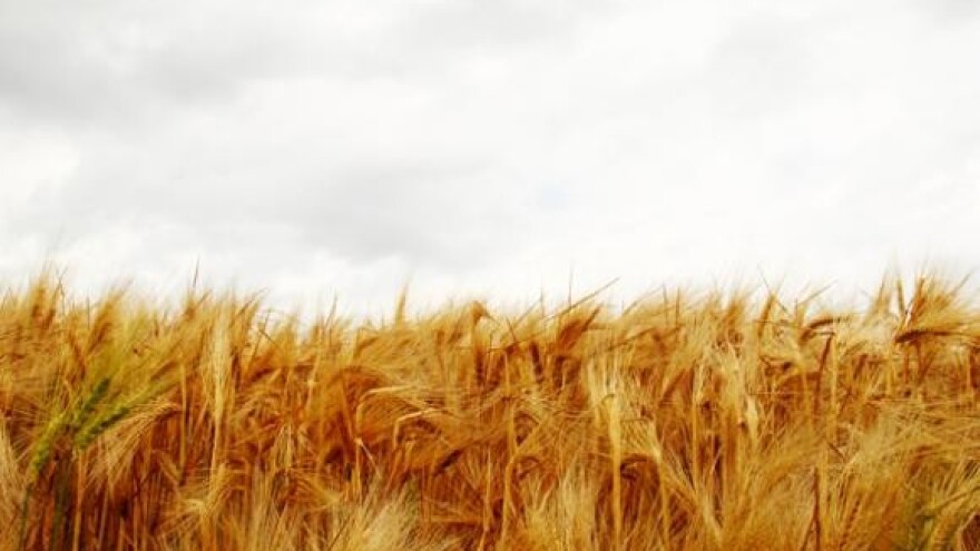 Seljaci ostali bez poticaja