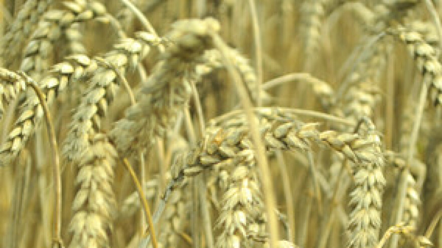 Izigrani radnici Đakovštine čekaju odgovor Vlade