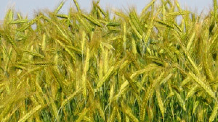 Projekt "Obrana od tuče zrakoplovnim generatorima"