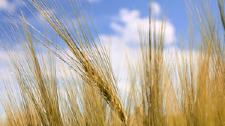 Nezakonito isplaćeni poticaji