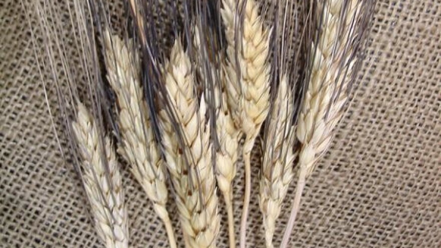 Rješenje ili blokada Đakovštine