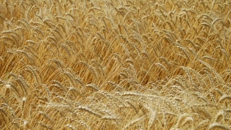 Mavrović: 1,10 kn maksimum