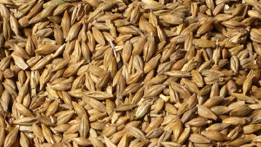 Rusija ukida zabranu izvoza žita