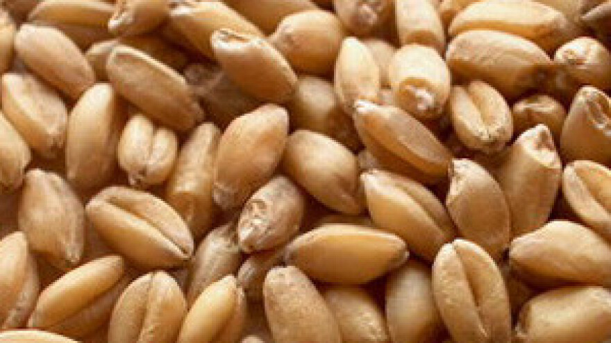 Multiprosvjed za naplatu potraživanja od Đakovštine