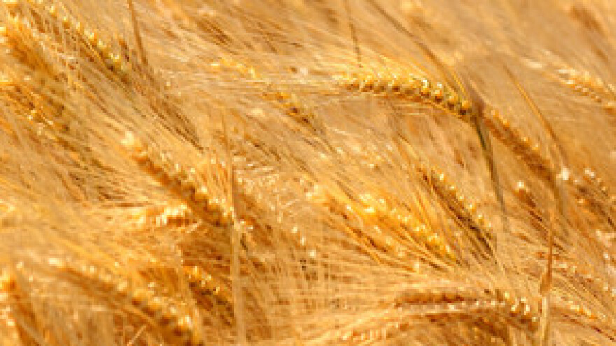 Dok Mavrović propada, broj ekoproizvođača raste