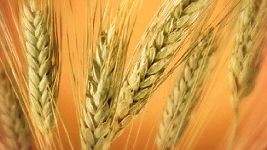 Vlada će obeštetiti prevarene u Đakovštini