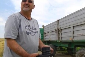 Ratari očekuju 1,30 kn/kg pšenice!