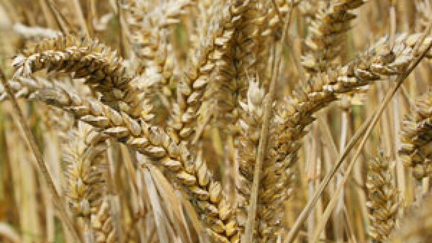 Stop pljačkanju ratara