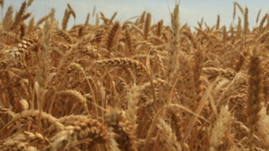 Problem je nepoštovanje zakona o skladišnici