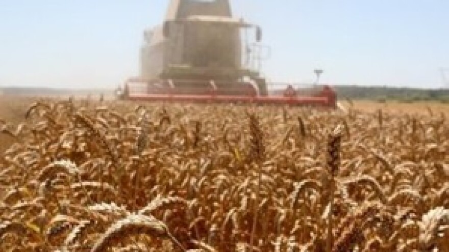 Zavadi pa vladaj - nekome na hrvatskom selu odgovara