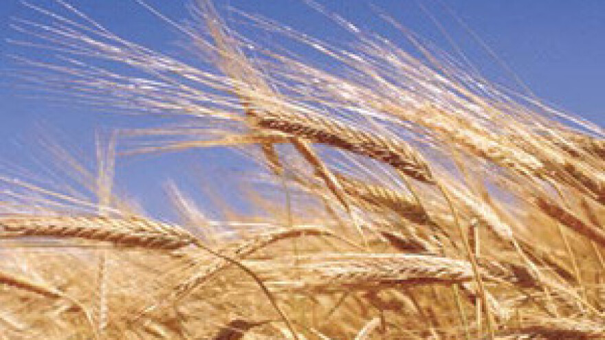 Kreditiranje poljoprivrednih proizvođača