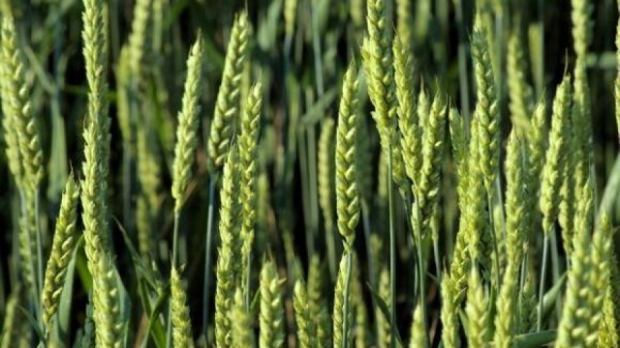 Za EU spremno 60 posto domaćih prerađivača hrane