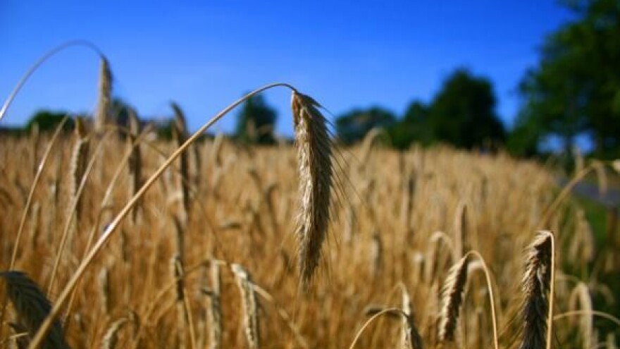 Štete već na rubu proglašenja elementarne nepogode