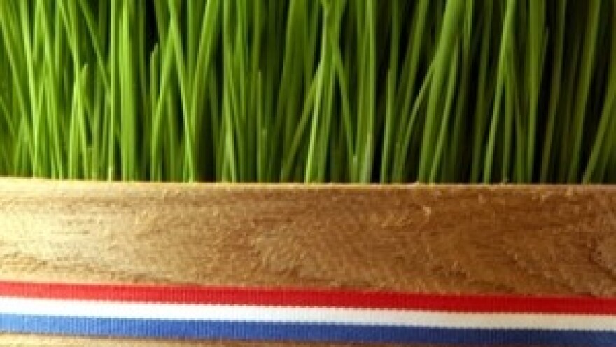 Božićnice u poljoprivredi