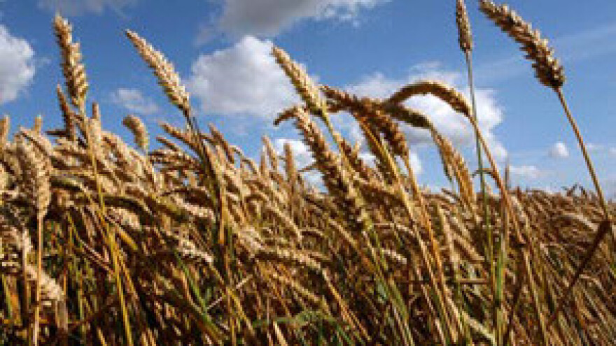 Pregovori o cijeni pšenice