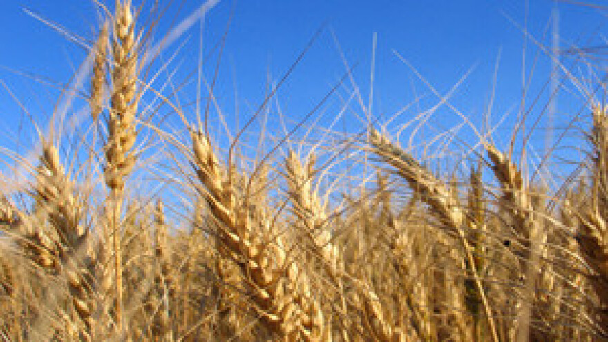 Čobanković ucjenjuje poljoprivrednike: nema glasa HDZ-u, nema poticaja