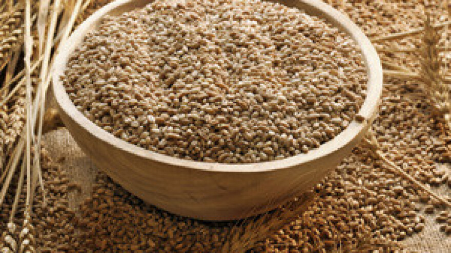 Na pomolu rješenje za bivše radnike Đakovštine