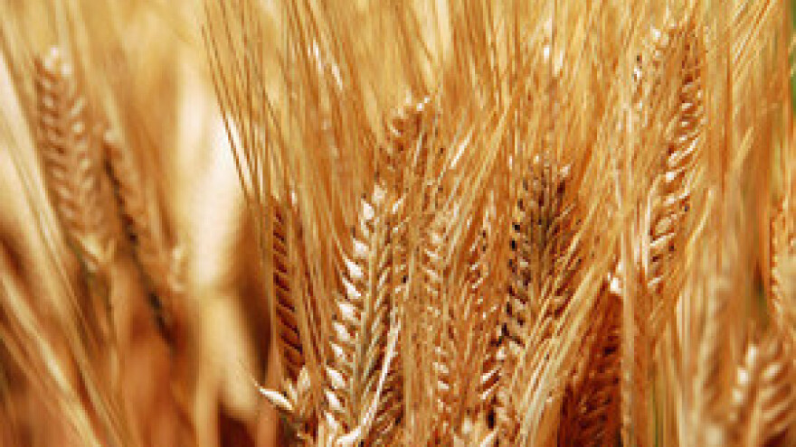 Inati se Slavonija, ali se inati i petorka koja ne poštuje zakone