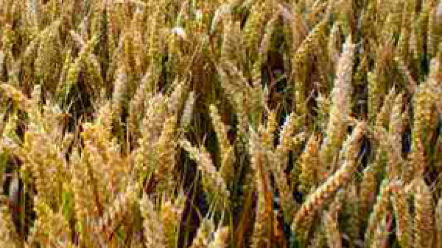 50 milijuna kuna potpora prehrambenoj industriji