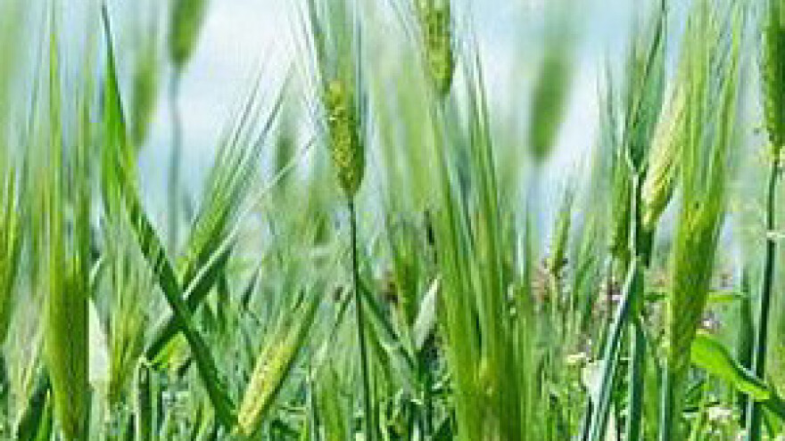 Poljoprivrednici traže isplatu preostalih poticaja