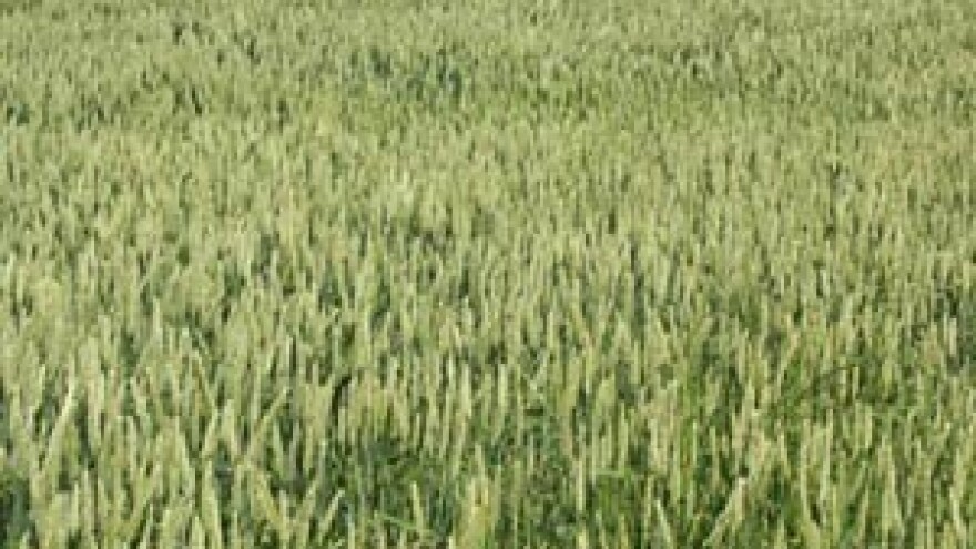 Zbog niže stope PDV-a hrvatsko je gnojivo jeftinije u Sloveniji?!