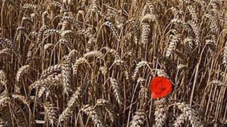 Ministar Jakovina protuzakonito je smanjio poticaje