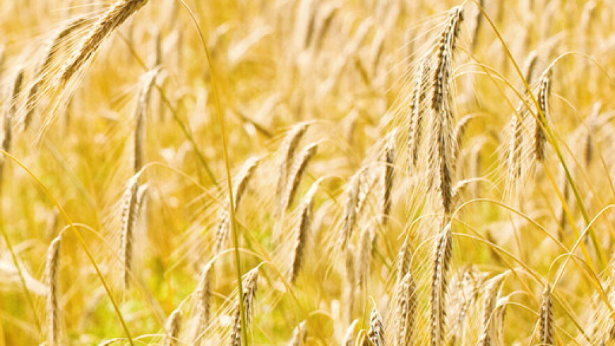 Seljačke udruge skupljaju i političku potporu