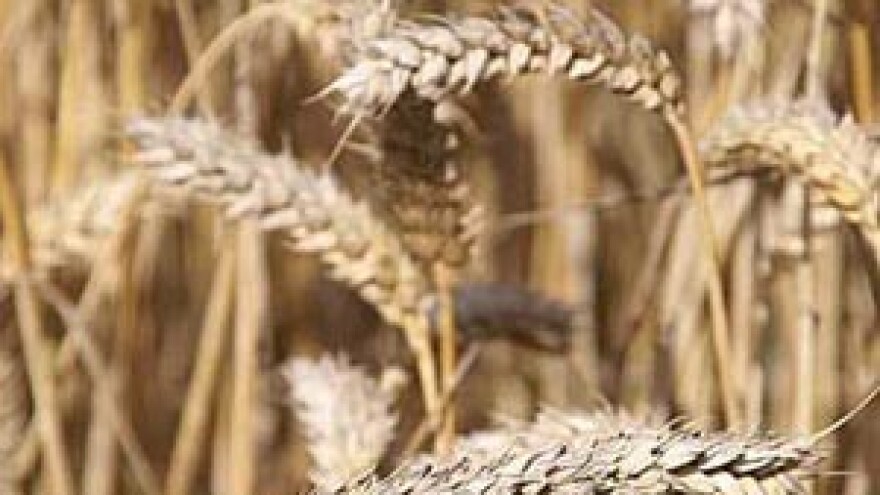 300 milijuna bespovratnih eura za poljoprivredu i ruralni razvoj