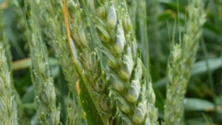 Brlošić: stanje u poljoprivredi nikad gore