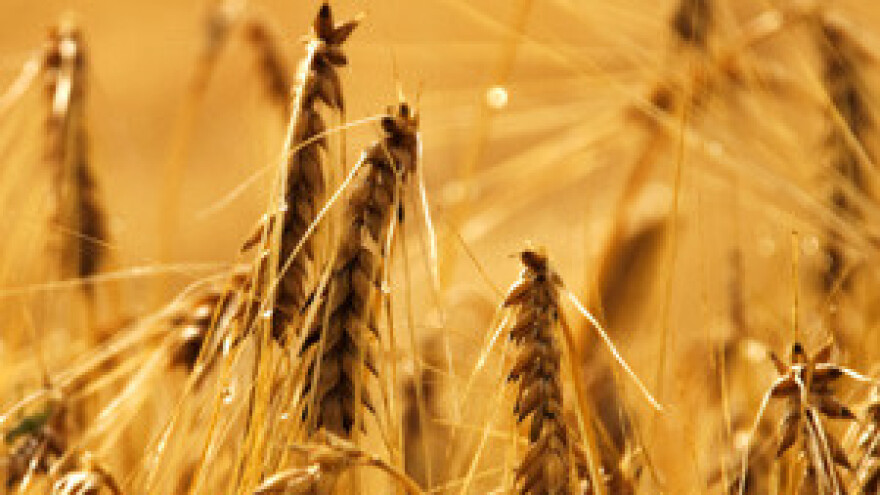 Za prehrambeni sektor najteži put do EU fondova