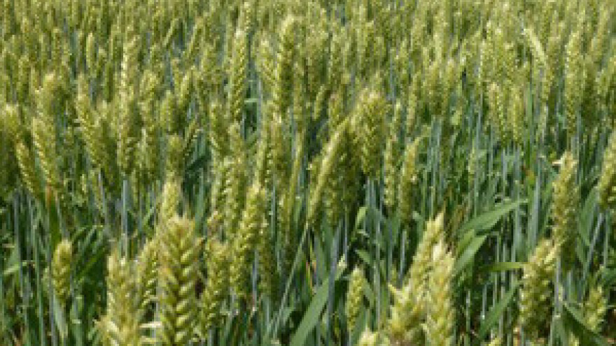 HSS: Vlada zemljom pogoduje kompanijama