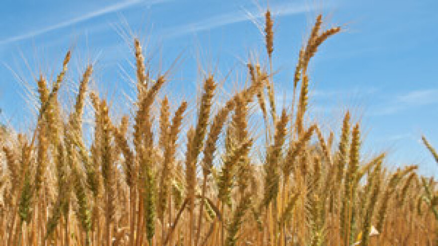 Poljoprivrednici ne mogu dalje bez poticaja