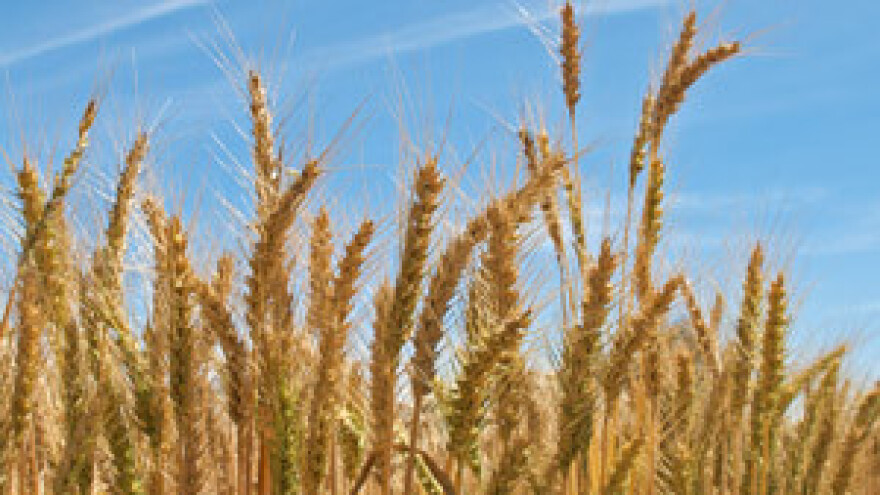 Poljoprivrednici: Ministarstvo gluho za sva pitanja