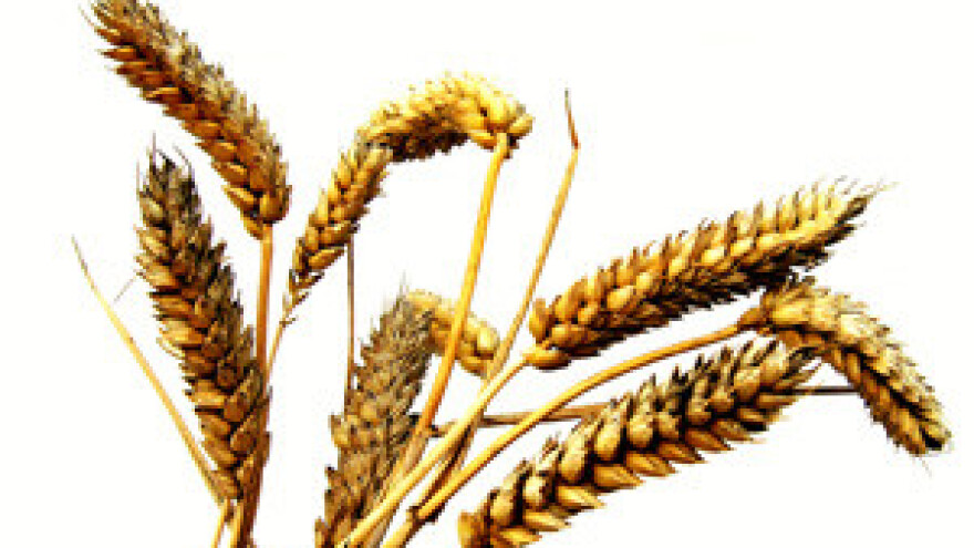 Pranjić: Zahtijevamo pojačane kontrole nadležnih inspektora