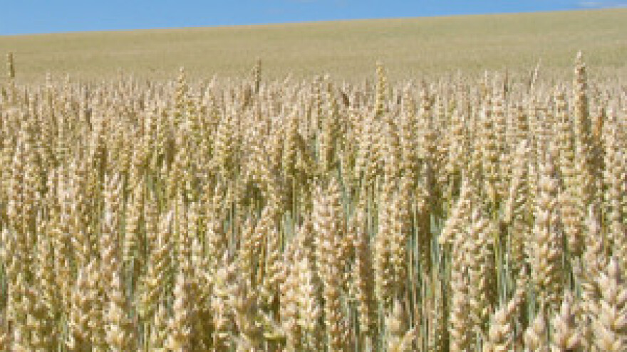 Hrvatska prehrambena revolucija