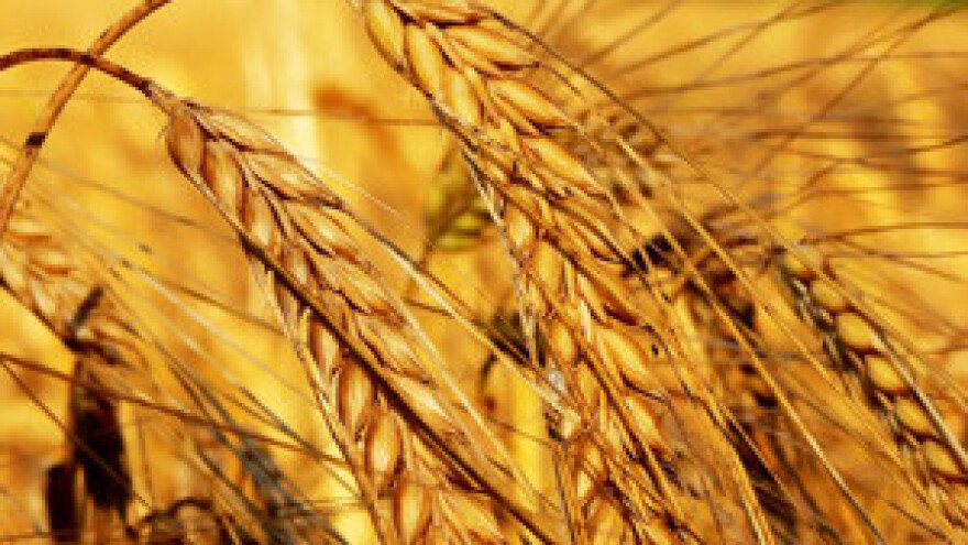 5. Međunarodni i regionalni sajam privrede u Subotici