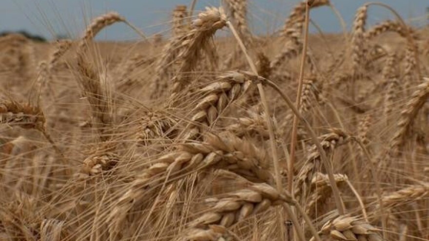 Žitozajednica nije prihvatila cijenu